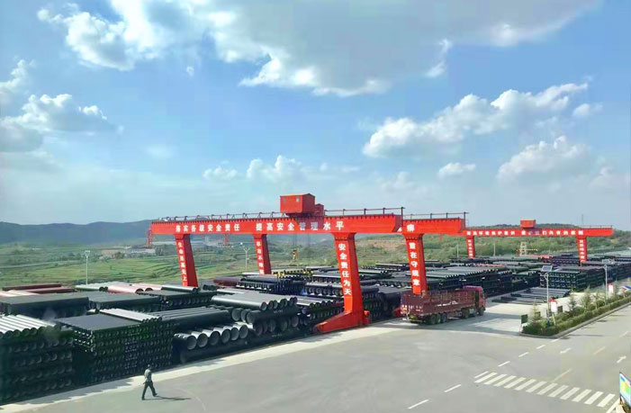 ��ī�T�F��